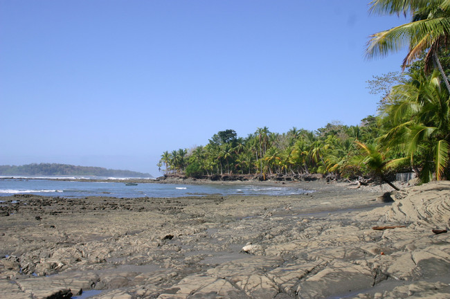Punta Burica