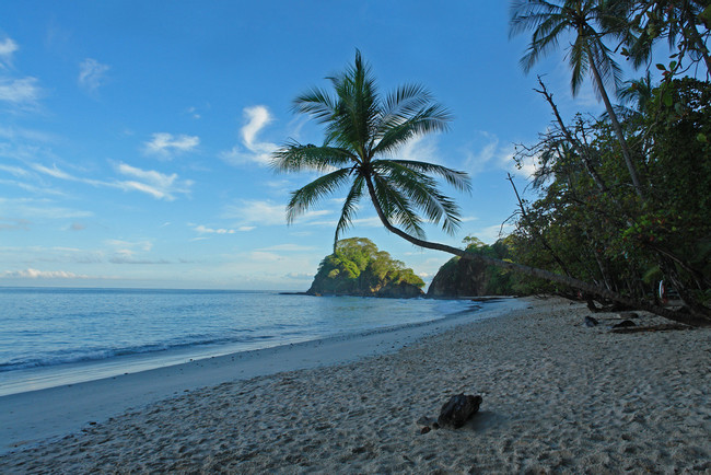 Punta Leona