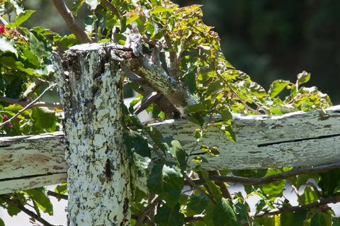 Purulhá, Verapaces Guatemala