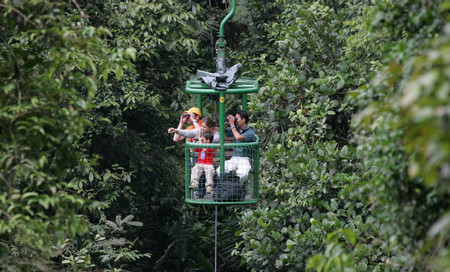 Rainforest Tram Alantic, Costa Rica photo 3