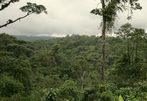 Rainforest Tram Alantic, Costa Rica Costa Rica