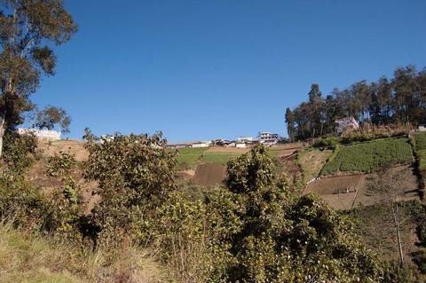 Guatemala Destinos con Bosques Nubosos