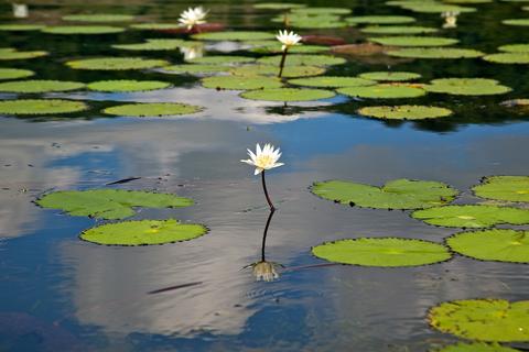 Rio Dulce, Fronteras Guatemala