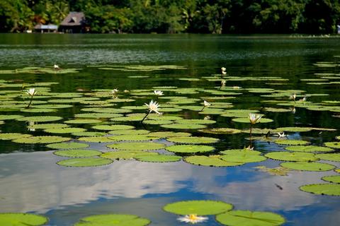 Rio Dulce, Fronteras Guatemala