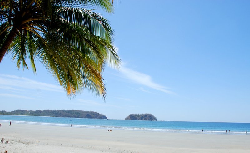 Wide, pale sand and calm water in Sámara bay, framed by a palm