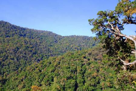 San Gerardo de Dota photo 3