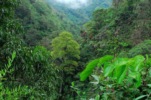 San Gerardo de Rivas Costa Rica