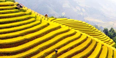 Sapa Vietnam