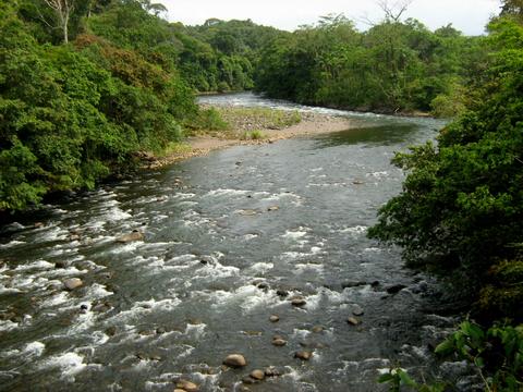 Puerto Viejo de Sarapiqui Costa Rica