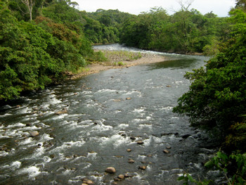 Puerto Viejo de Sarapiquí photo 3