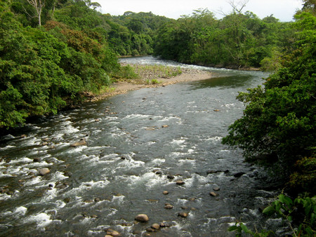 Puerto Viejo de Sarapiquí photo 3
