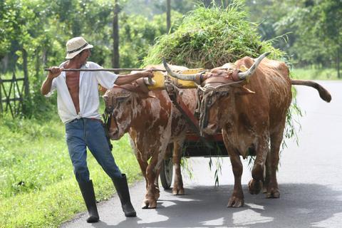 Puerto Viejo de Sarapiqui Costa Rica
