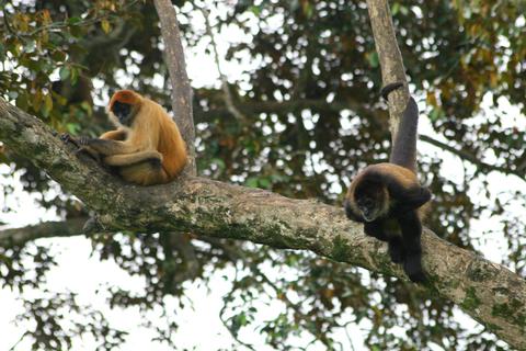 Puerto Viejo de Sarapiquí Costa Rica