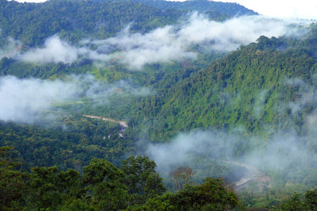 Savegre River photo 3