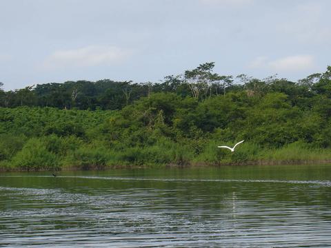 Sayaxché Guatemala