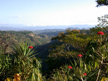 Alajuela & SJO Airport photo 3