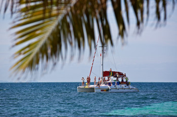 South Water Caye Marine Reserve photo 2