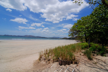 Tamarindo photo 2