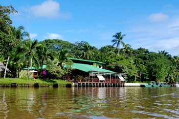 Tortuguero photo 2