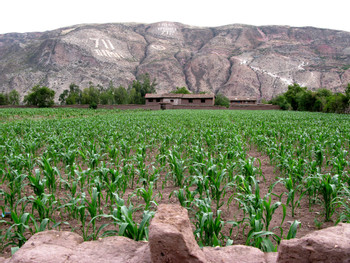 Peru Leisure Travel