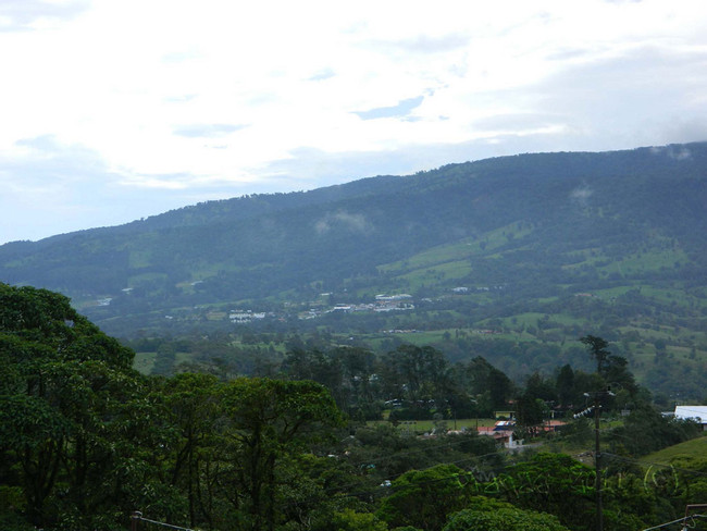 Vara Blanca