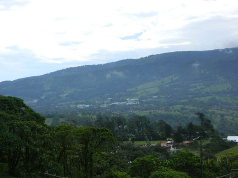 Vara Blanca