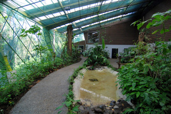Veragua Rainforest photo 3