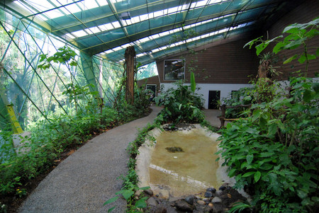 Veragua Rainforest photo 3