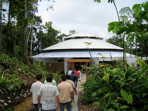 Selva Tropical Veragua Costa Rica