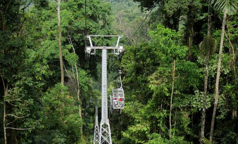 Selva Tropical Veragua Costa Rica