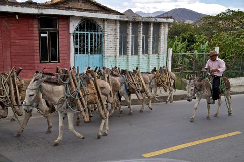 Vilcabamba Ecuador