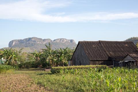 Viñales Cuba