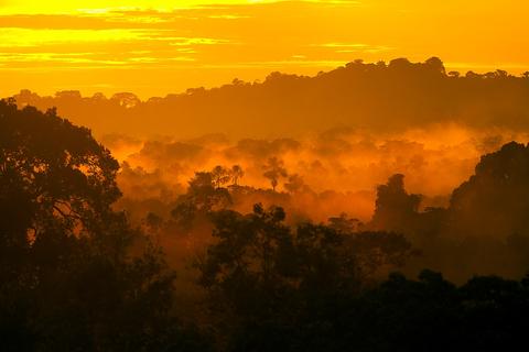 Ecuador Rainforests