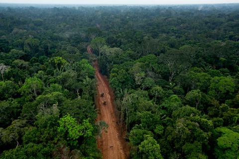 Yasuni Ecuador