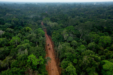Yasuni photo 2