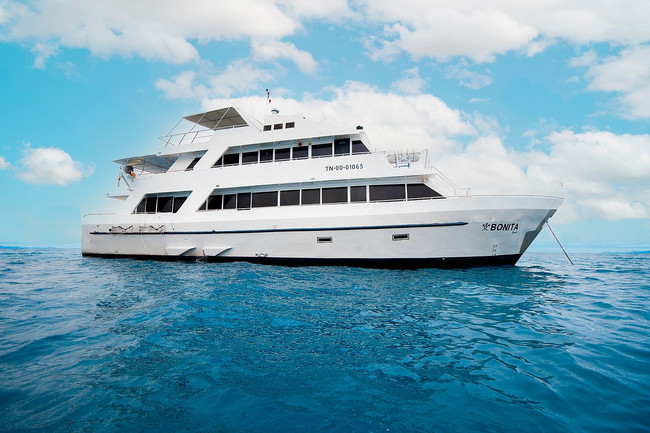 Bonita Yacht photo