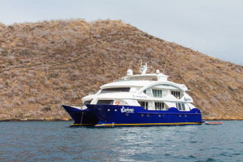 Cruise Endemic  photo 5