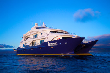 Cruise Endemic  photo 4