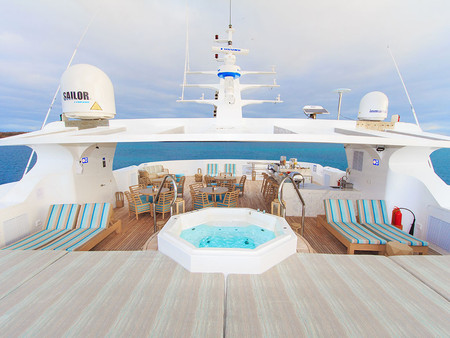 Cruise Endemic  photo 2