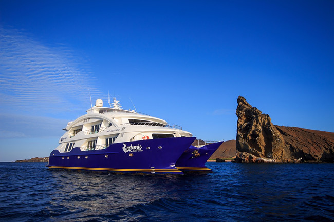 Cruise Endemic  photo