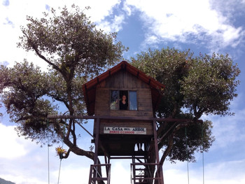 Waterfall Routes + Tree House photo 3