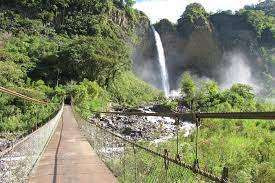 Waterfall Routes + Tree House photo 5