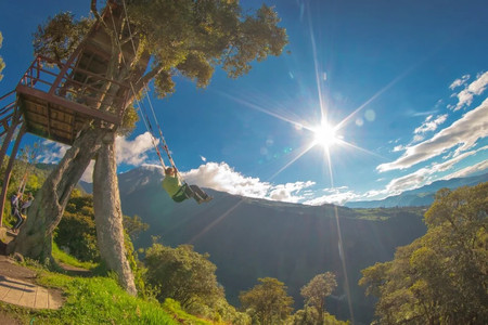 Waterfall Routes + Tree House photo 2