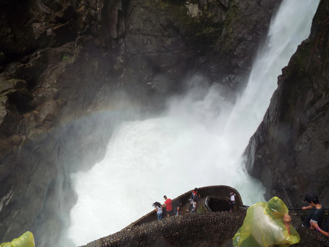 Waterfall Routes + Tree House Photo