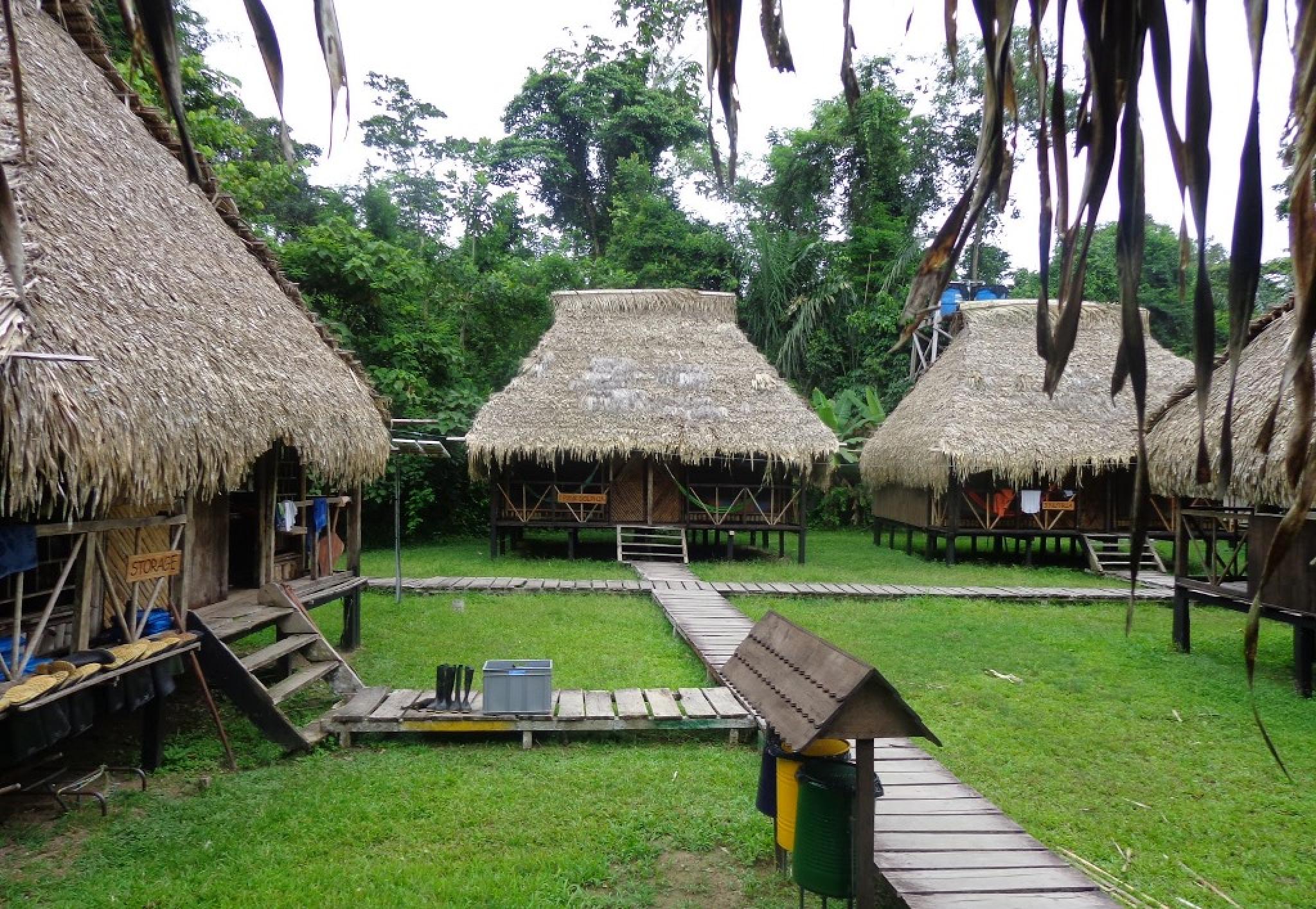 CUYABENO LODGE - Hotel Reviews (Cuyabeno Wildlife Reserve, Ecuador)