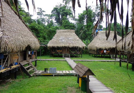 Nicky Amazon Lodge