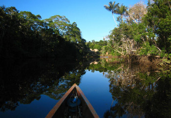 Nicky Amazon Lodge  photo 5
