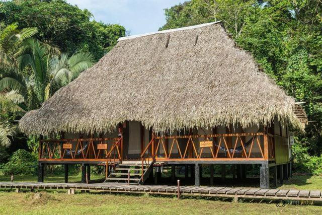 Nicky Amazon Lodge photo