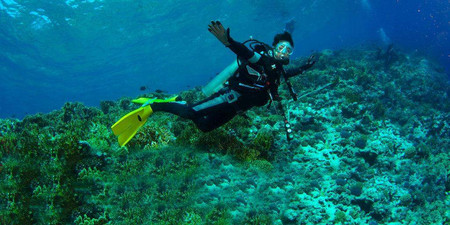 Diving Tour in Tortuga Island and Hiking in Tintoreras photo 2