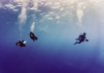 Diving Tour in Tortuga Island and Hiking in Tintoreras photo 4